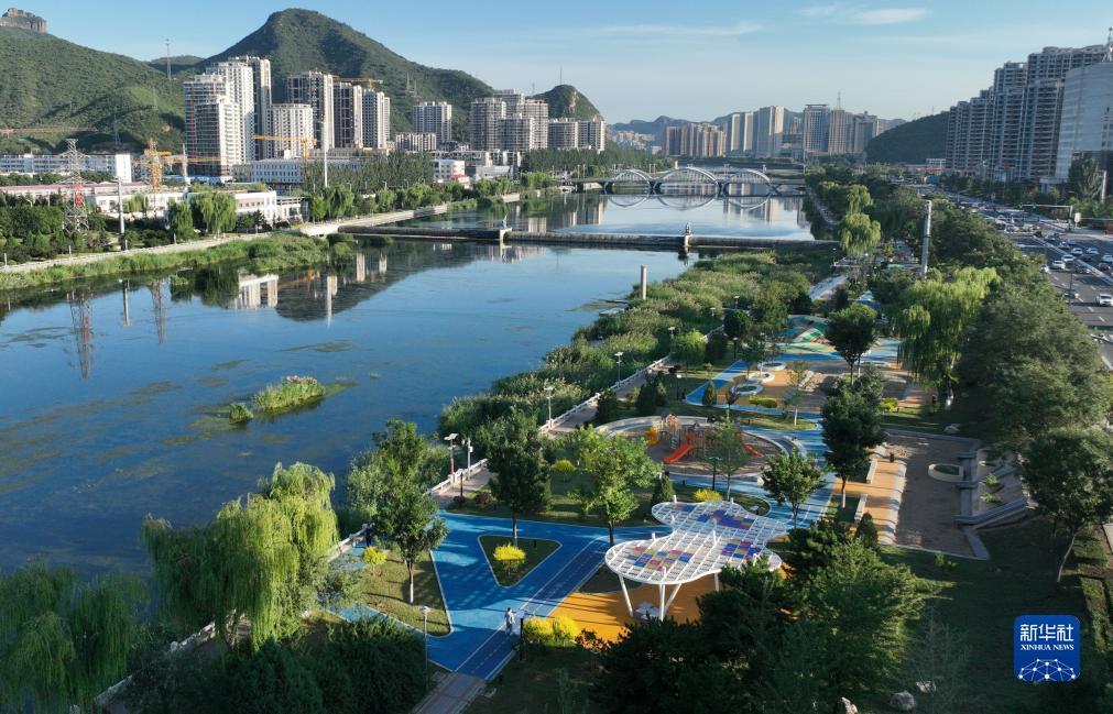 永利集团现金